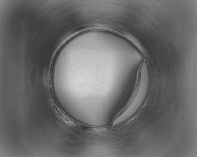 X0000073491052200608281610