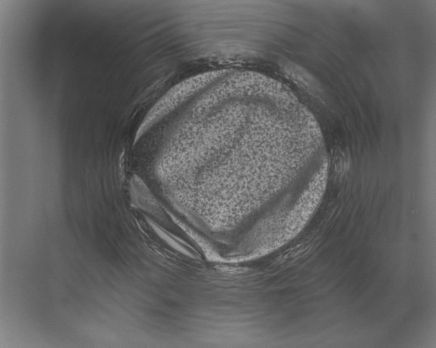 X0000073491060200608281609