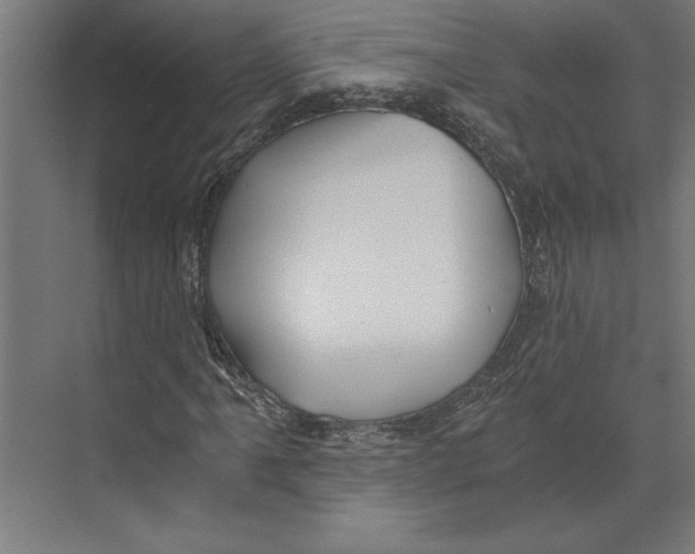 X0000073491061200608281609