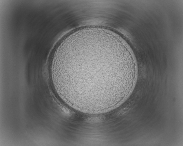 X0000073491078200608281609