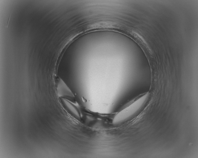 X0000073491081200608281609