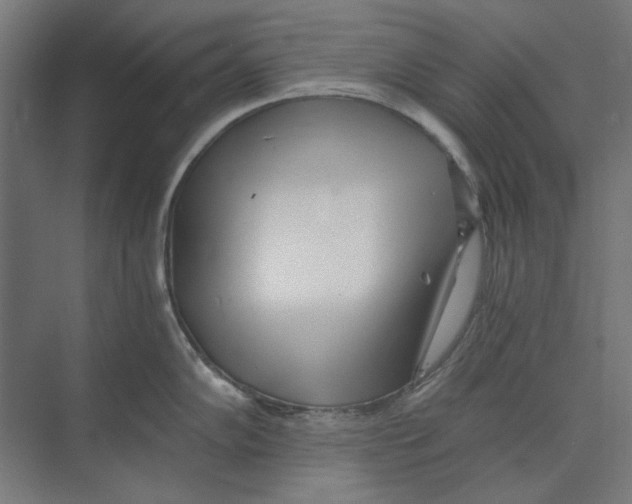X0000073491102200608281609
