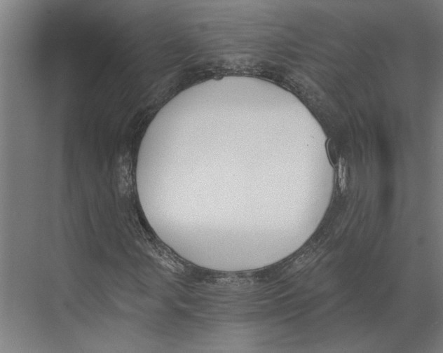 X0000073491107200608281608