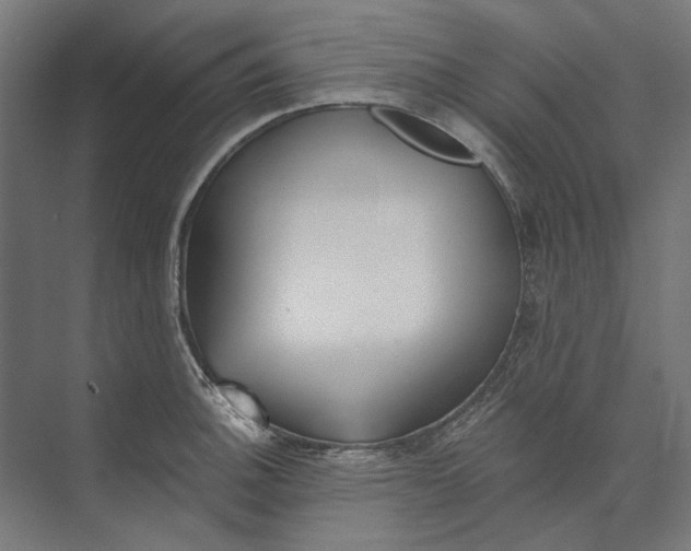 X0000073491140200608281609
