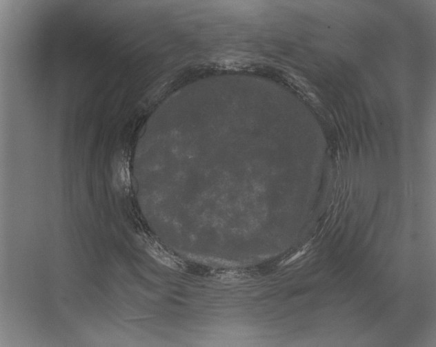 X0000073491155200608281608
