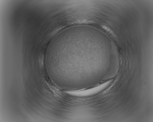 X0000073491161200608281608