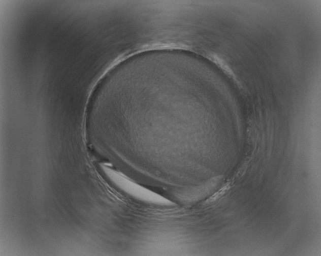 X0000073491173200608281608