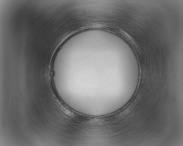 X0000073491178200608281607