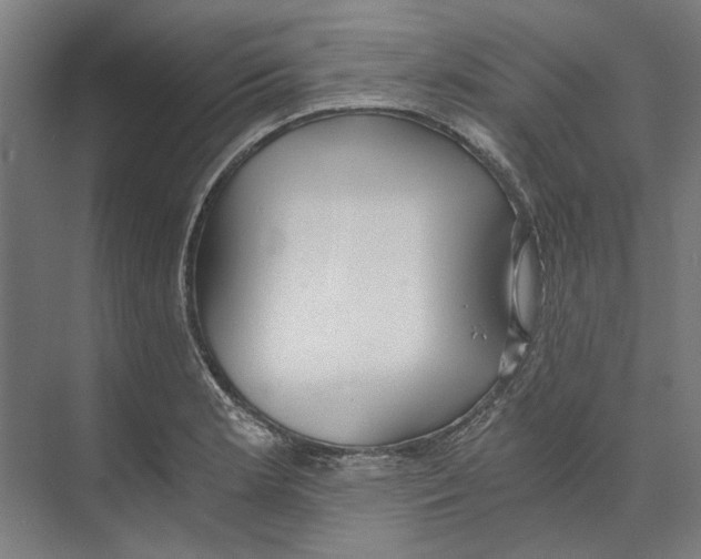 X0000073491181200608281607
