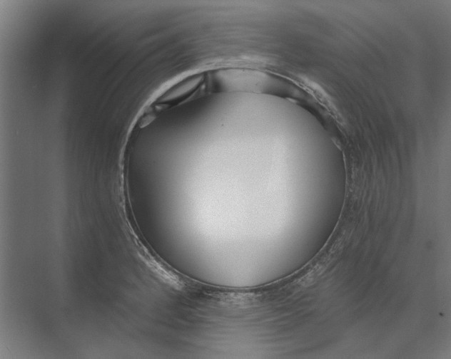 X0000073491184200608281607