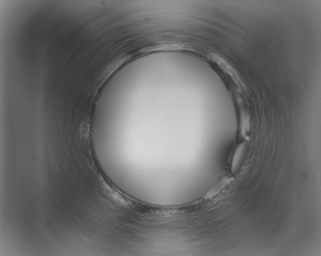 X0000073491193200608281607