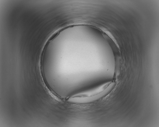 X0000073491197200608281607