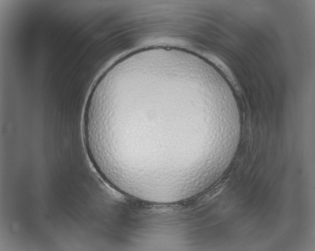 X0000073491199200608281607