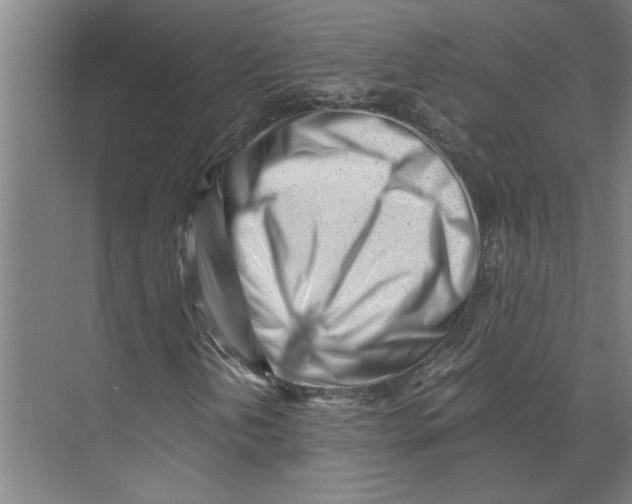 X0000073491202200608281606