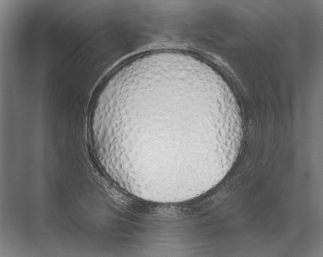 X0000073491220200608281607