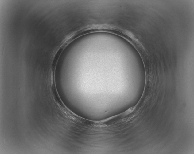X0000073491221200608281607