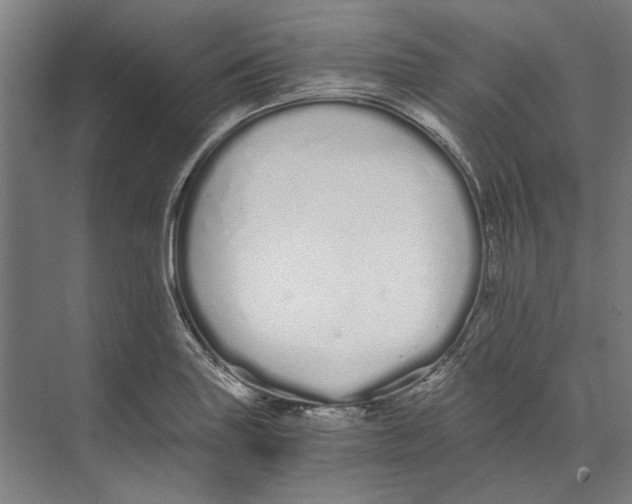 X0000073491227200608281607