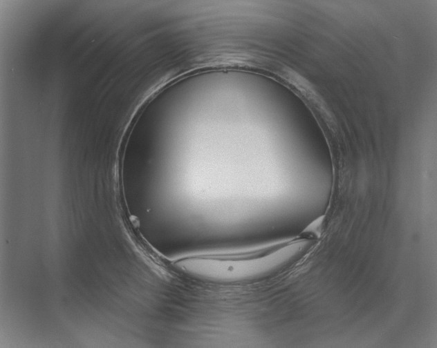 X0000073491234200608281607