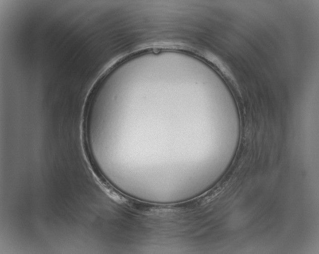 X0000073491237200608281607