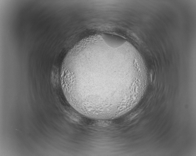 X0000073491251200608281606