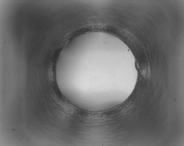 X0000073491252200608281606