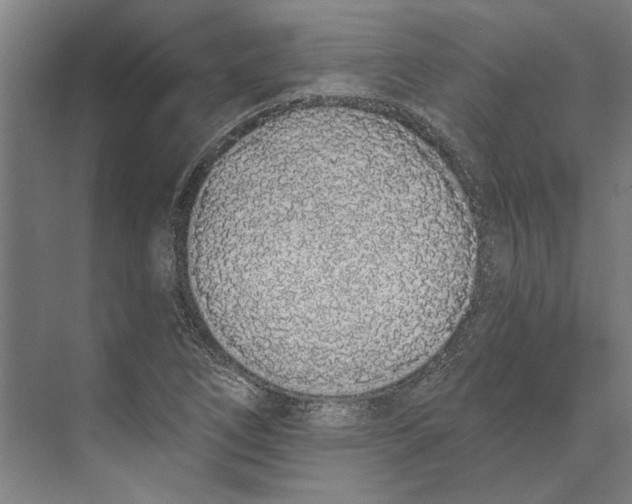 X0000073491266200608281606