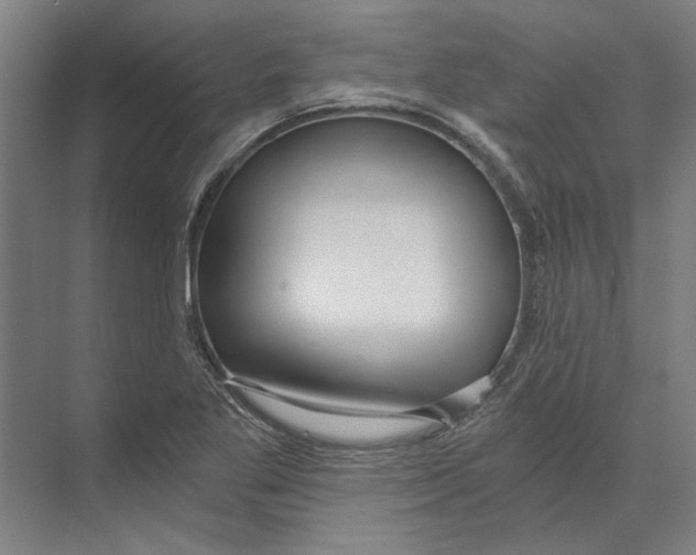 X0000073491269200608281606