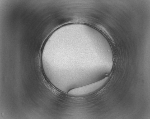 X0000073491276200608281606