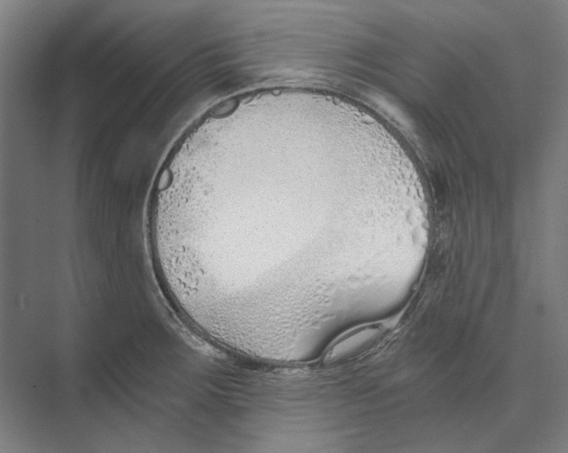 X0000073491283200608281606
