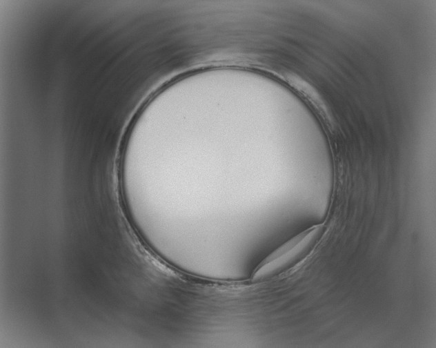 X0000073491288200608281606