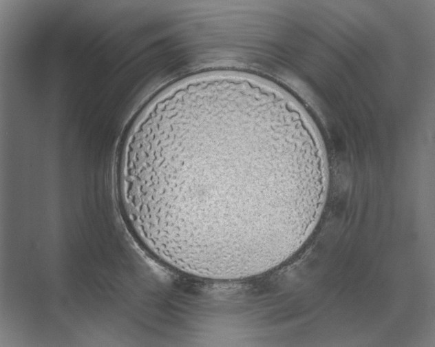 X0000073491290200608281606