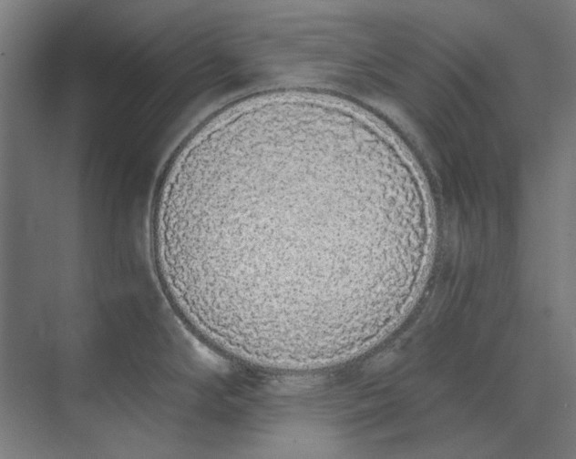 X0000073491294200608281606
