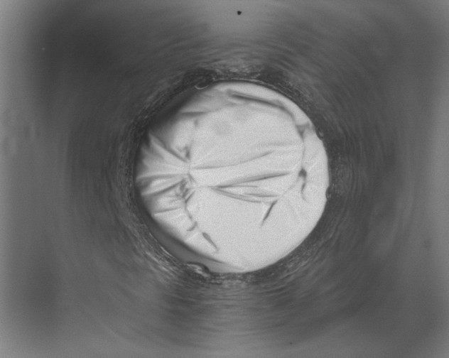 X0000073491297200608281605