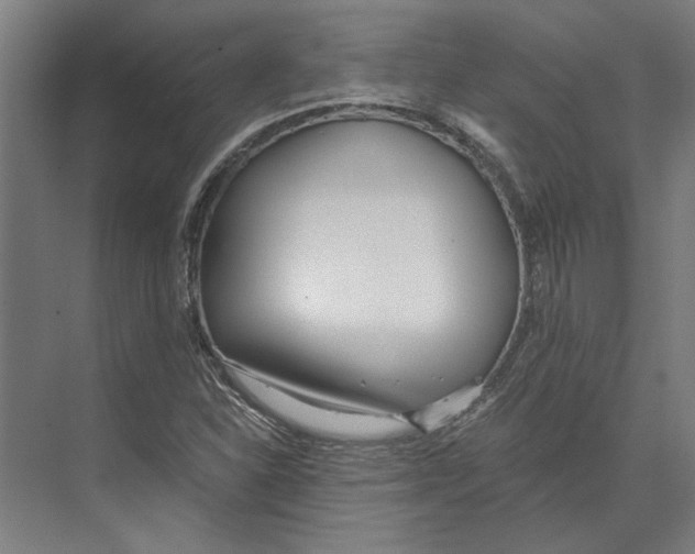 X0000073491310200608281605