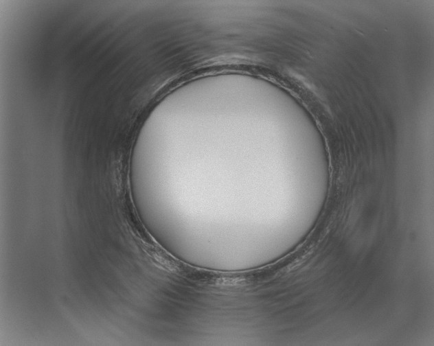 X0000073491313200608281605