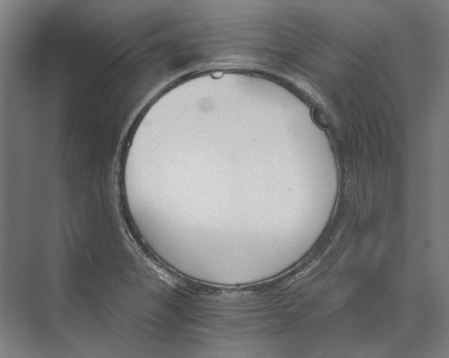 X0000073491325200608281605