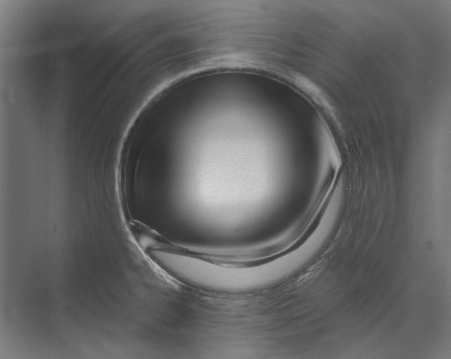 X0000073491334200608281605
