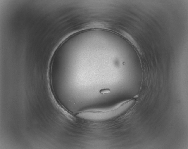 X0000073491339200608281605