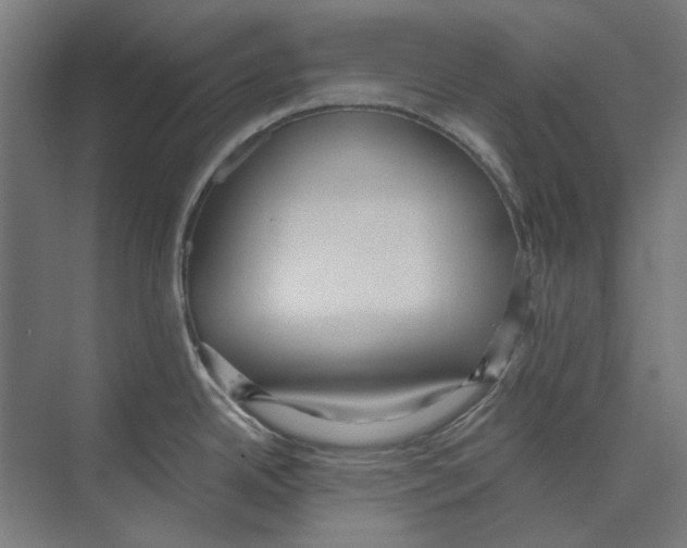 X0000073491342200608281605