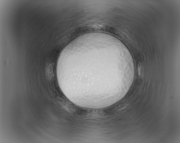 X0000073491347200608281605