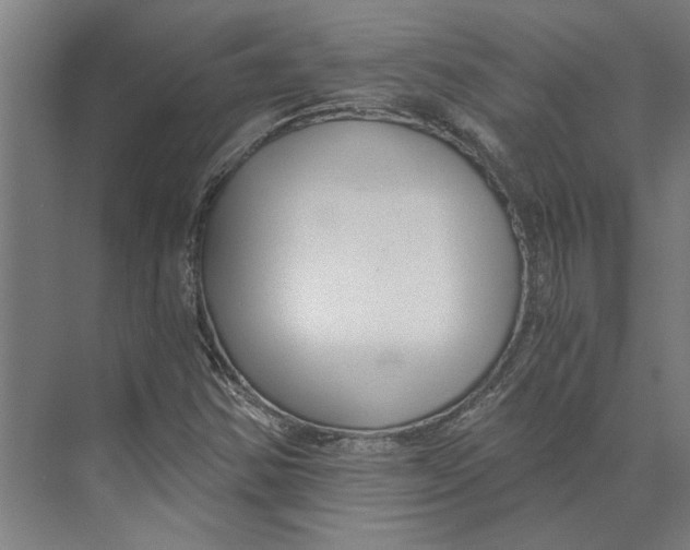 X0000073491354200608281605