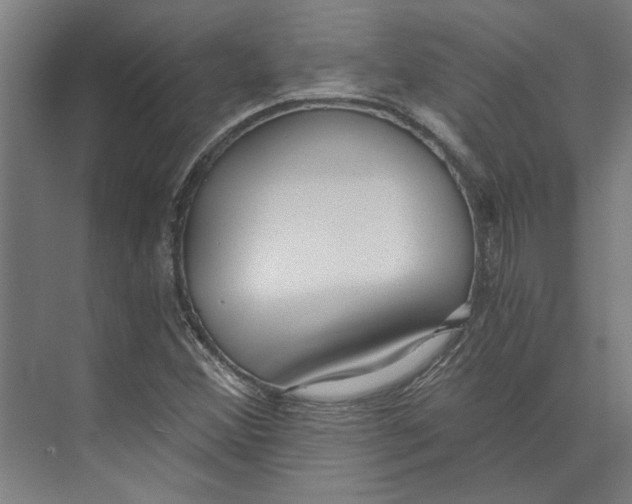 X0000073491356200608281604