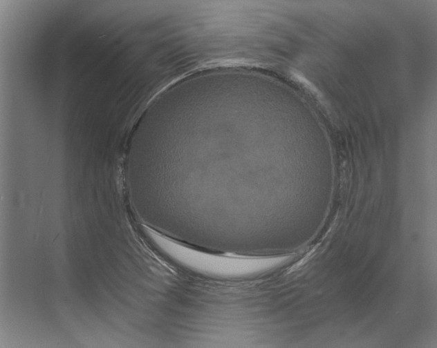 X0000073491361200608281604