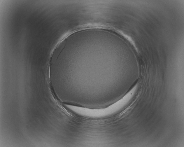 X0000073491365200608281604