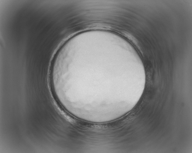 X0000073491379200608281604