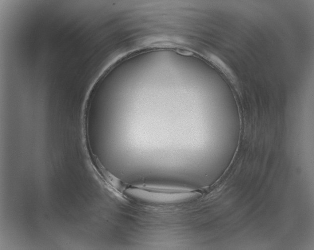 X0000073491384200608281604