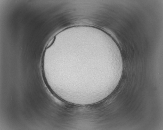 X0000073491387200608281604