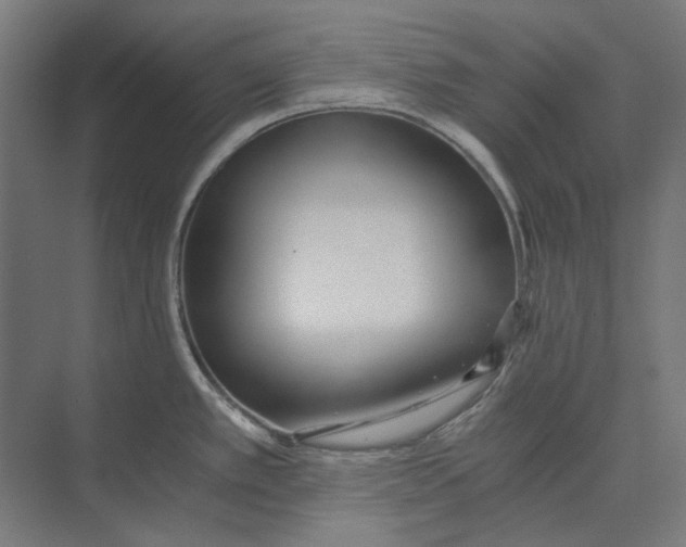 X0000073491389200608281604