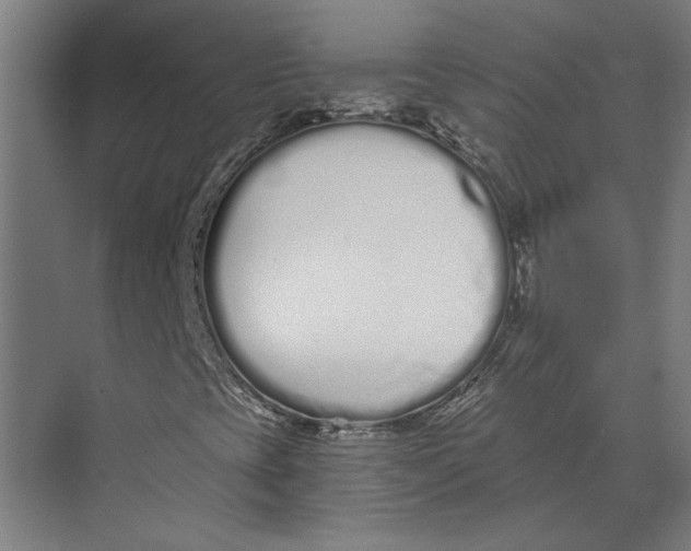 X0000073491393200608281603