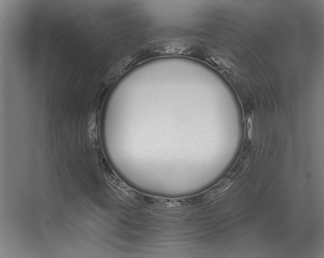 X0000073491395200608281603